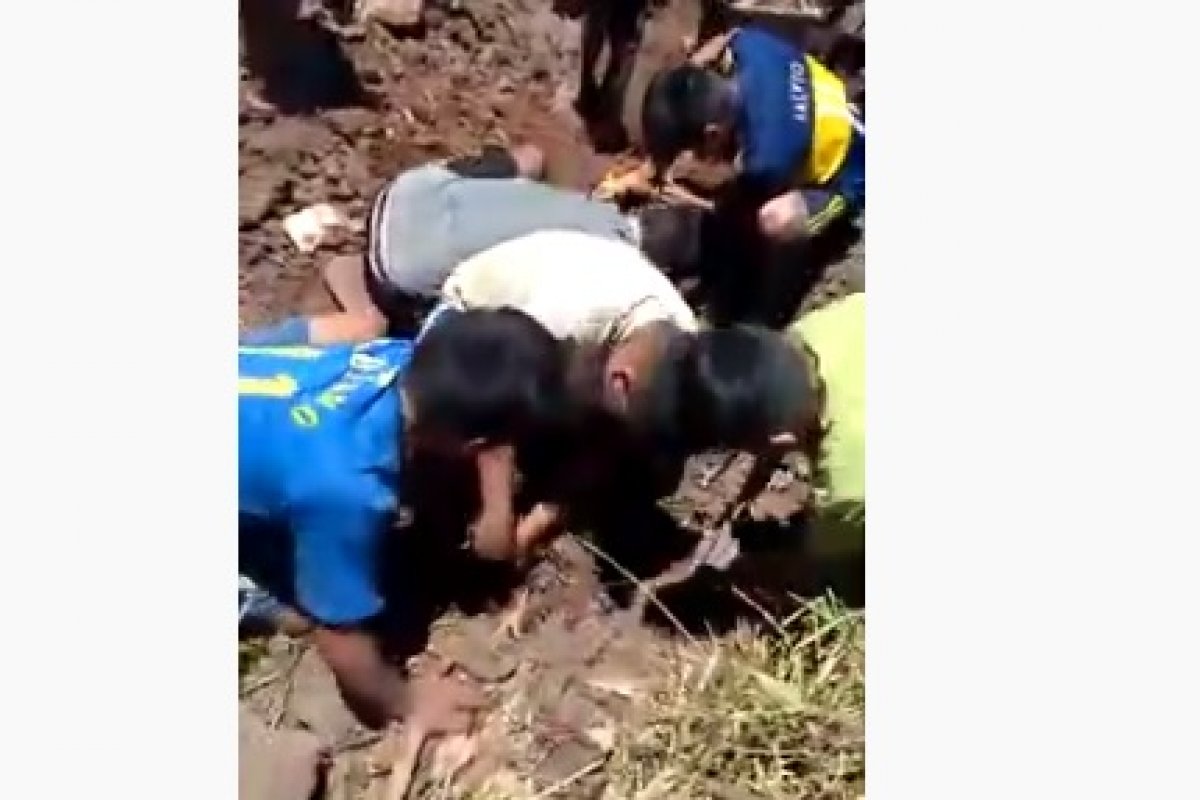 Vídeo: moradores de cidade argentina são flagrados desenterrando frangos impróprios para consumo