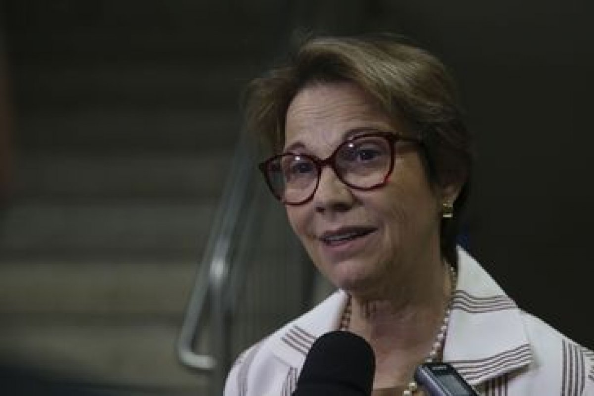 Ministra diz que liberação de agrotóxicos não traz riscos