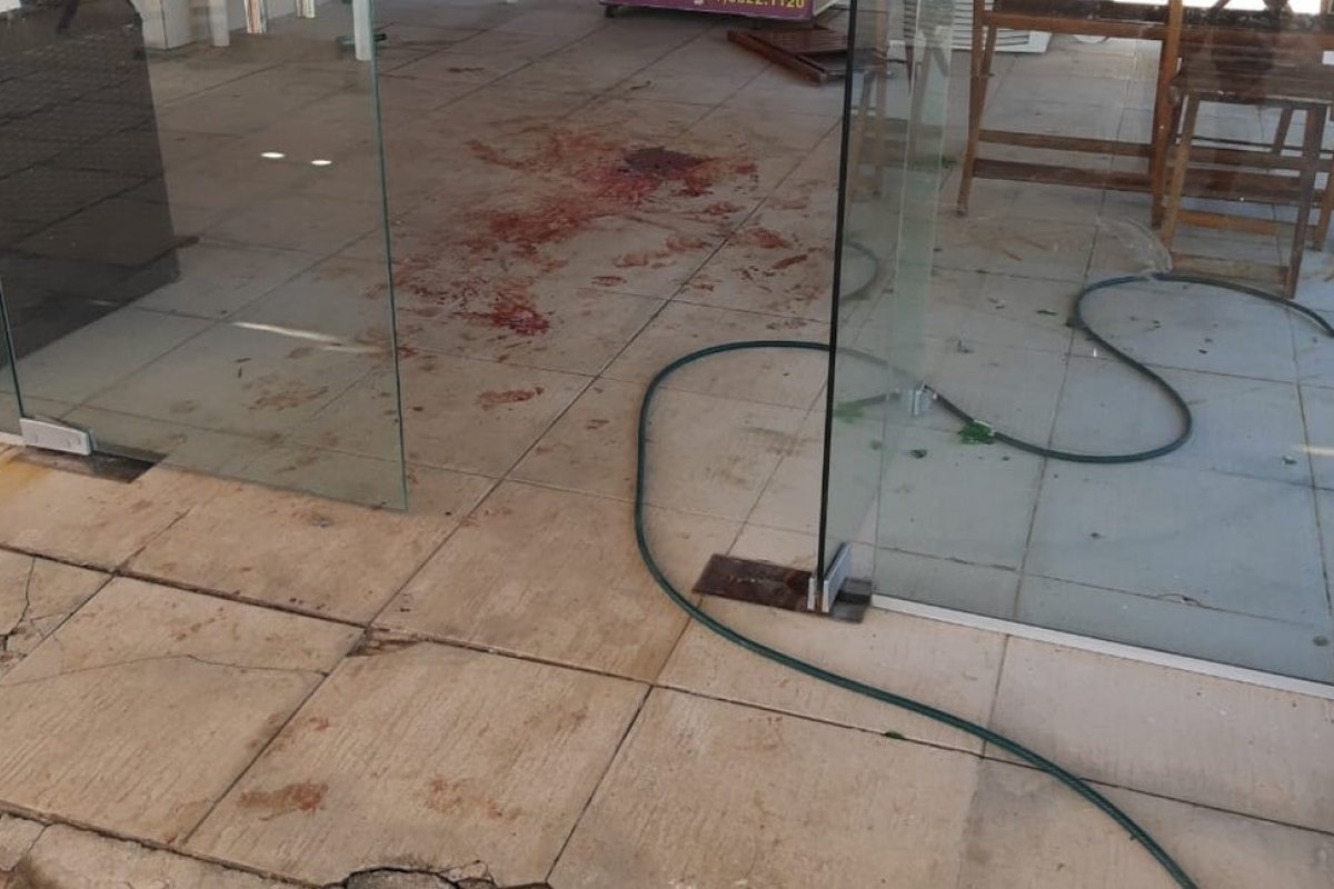 Criança de cinco anos é internada após mordida no rosto por pitbull em Recife