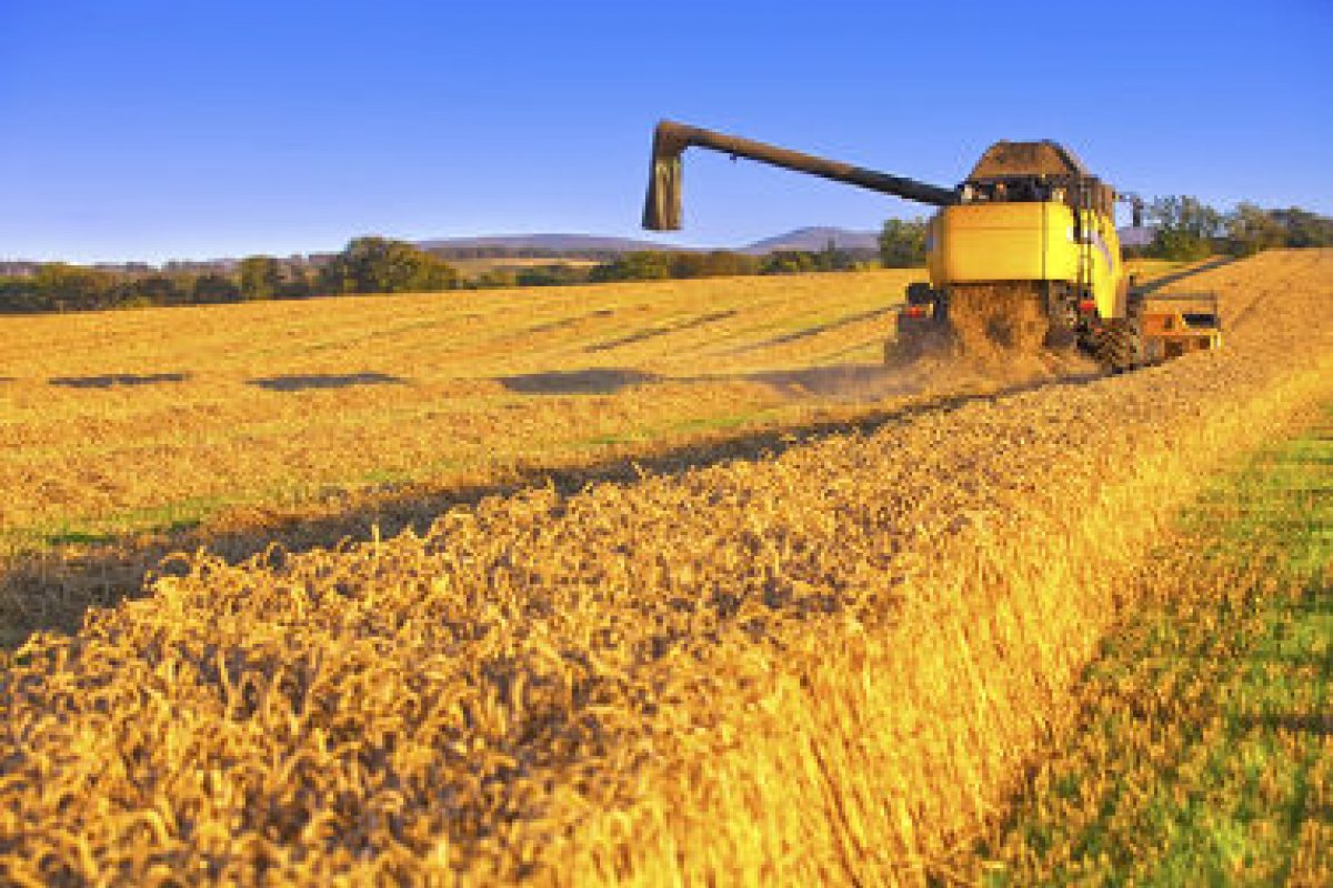 Após acusações de espionagem de Eduardo Bolsonaro, agronegócio quer salvar relação com a China