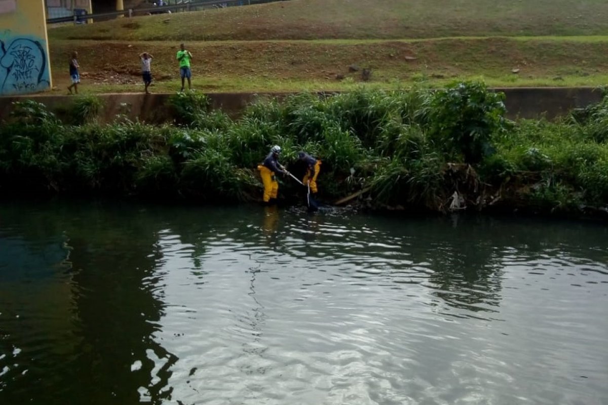 Bombeiros resgatam cachorro após cair em córrego na Av. ACM, em Salvador