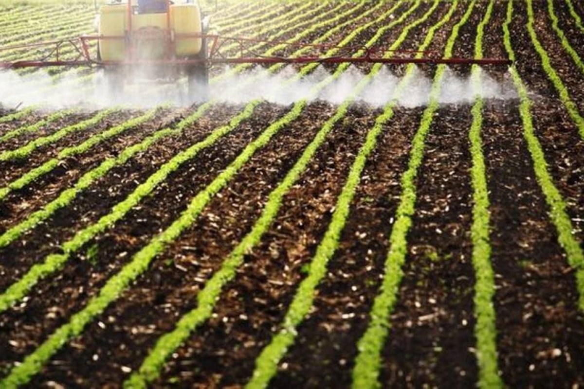 Governo Federal autoriza venda de 42 novos agrotóxicos; maioria com risco ao meio ambiente