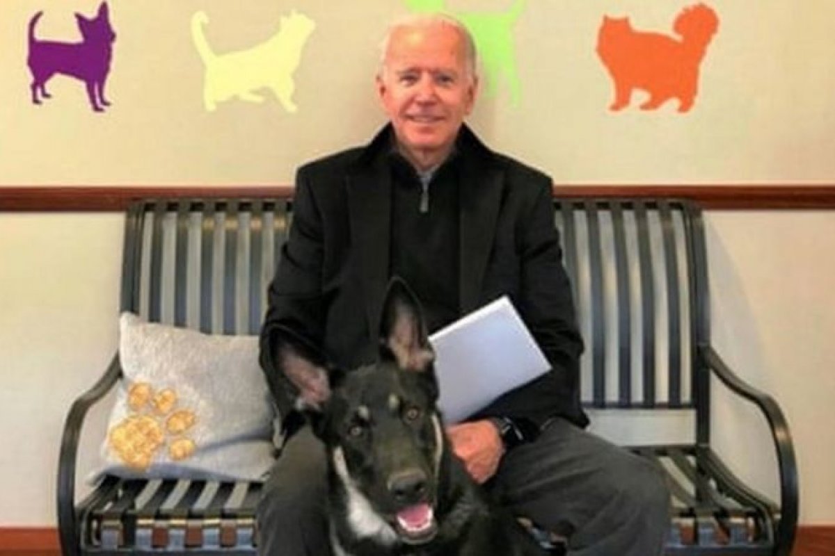 Biden fratura o pé ao brincar com cachorro 