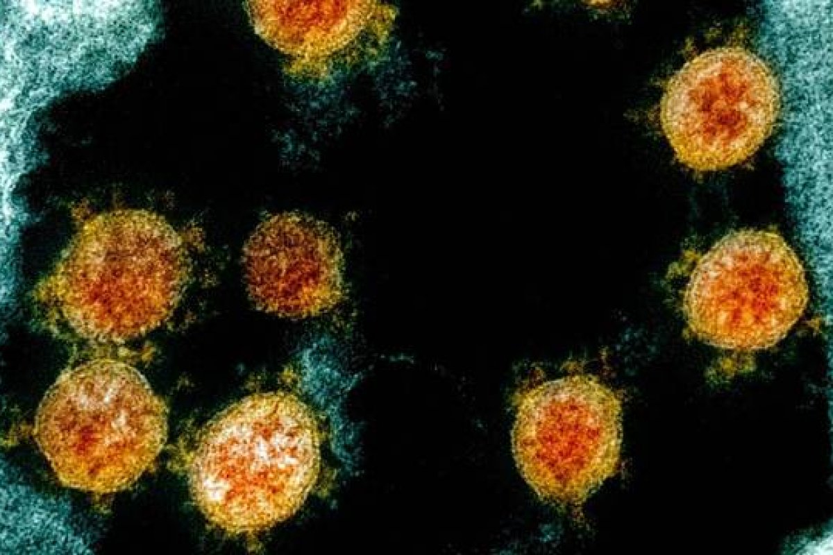 Pesquisa aponta necessidade de estudos aprofundados sobre as mucosas no combate da Covid-19