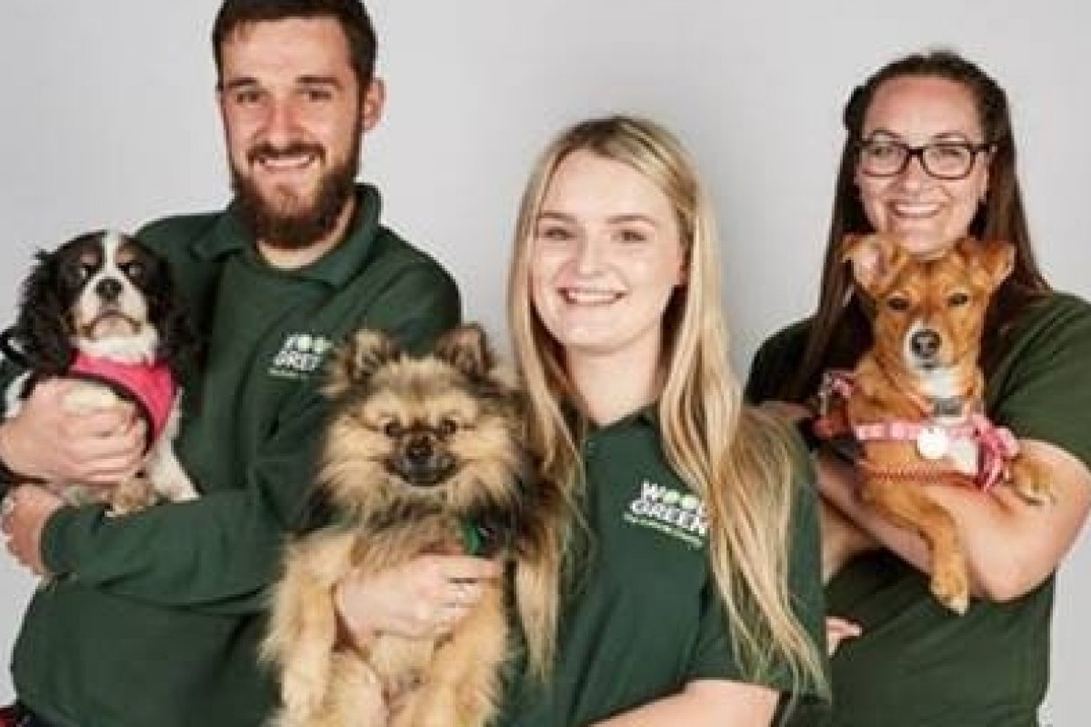 Vem aí uma nova série Dog House: Lar Perfeito na National Geographic Wild