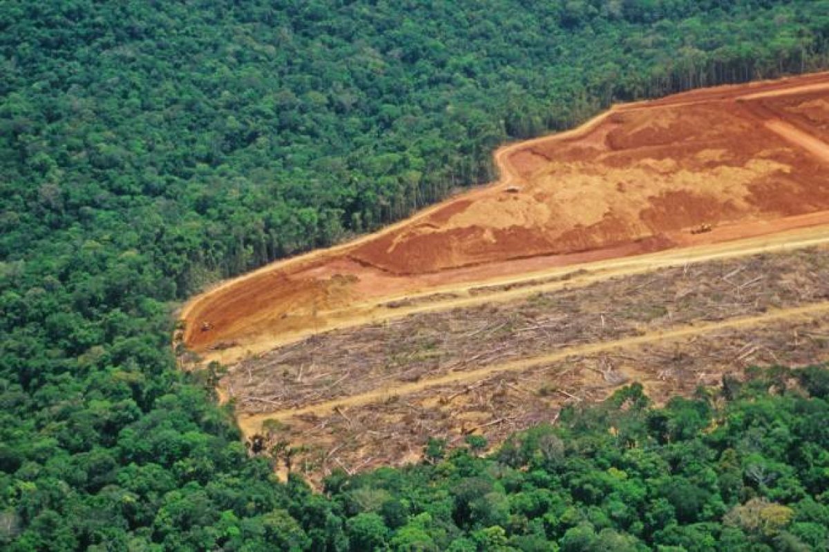 Em um ano, desmatamento da Amazônia cresce 9,5% e passa de 11 mil km²