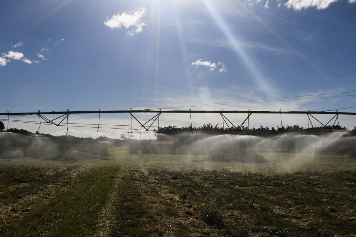 PIB do agronegócio pode crescer 9% em 2020