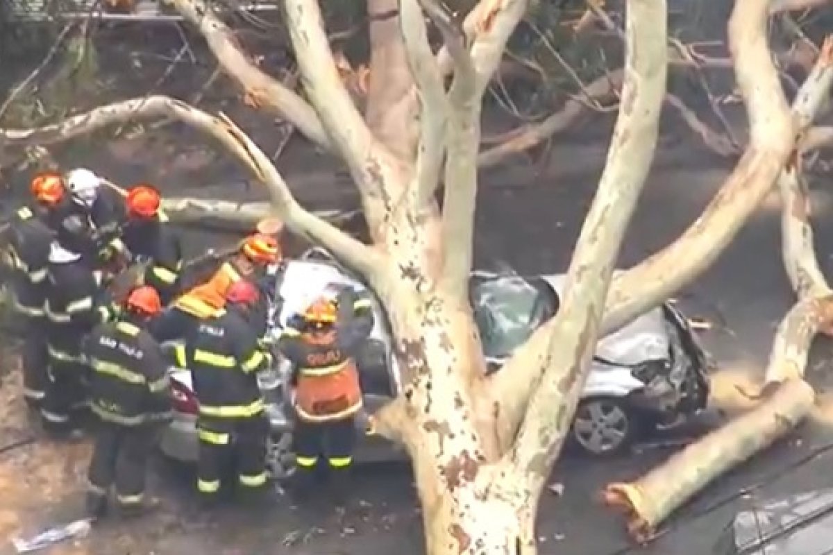 Carro é atingido por árvore em SP e quatro pessoas ficam presas em ferragens
