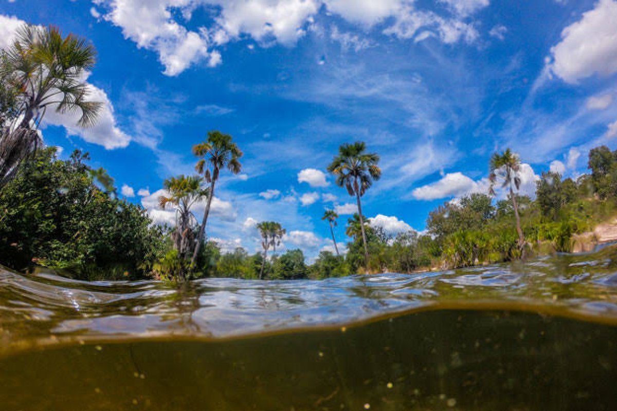 Para Justiça, regras da Bahia que trocavam licença ambiental por 'autorização eletrônica' são ilegais