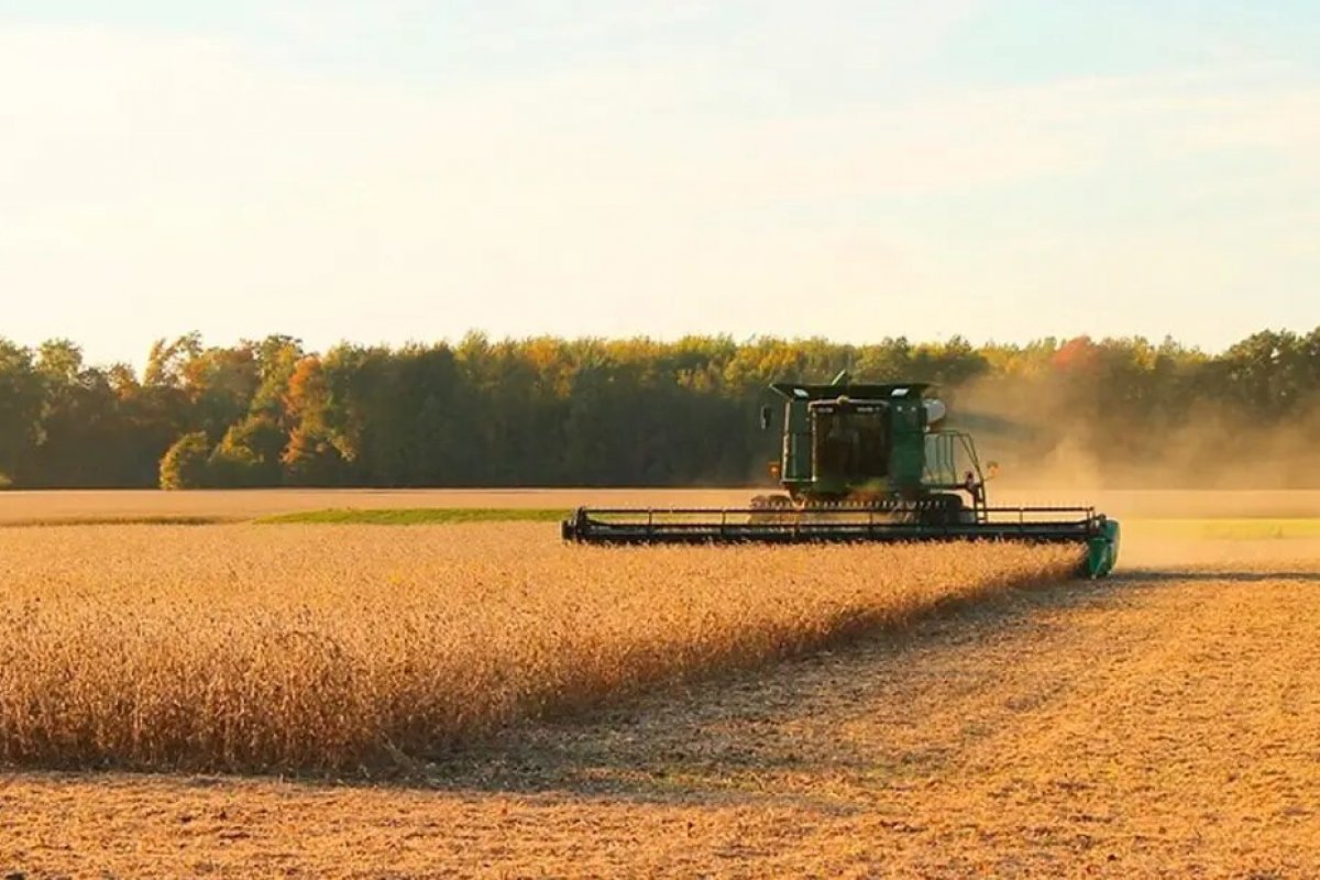 Contratações de crédito rural têm alta de 19% entre julho e novembro de 2020