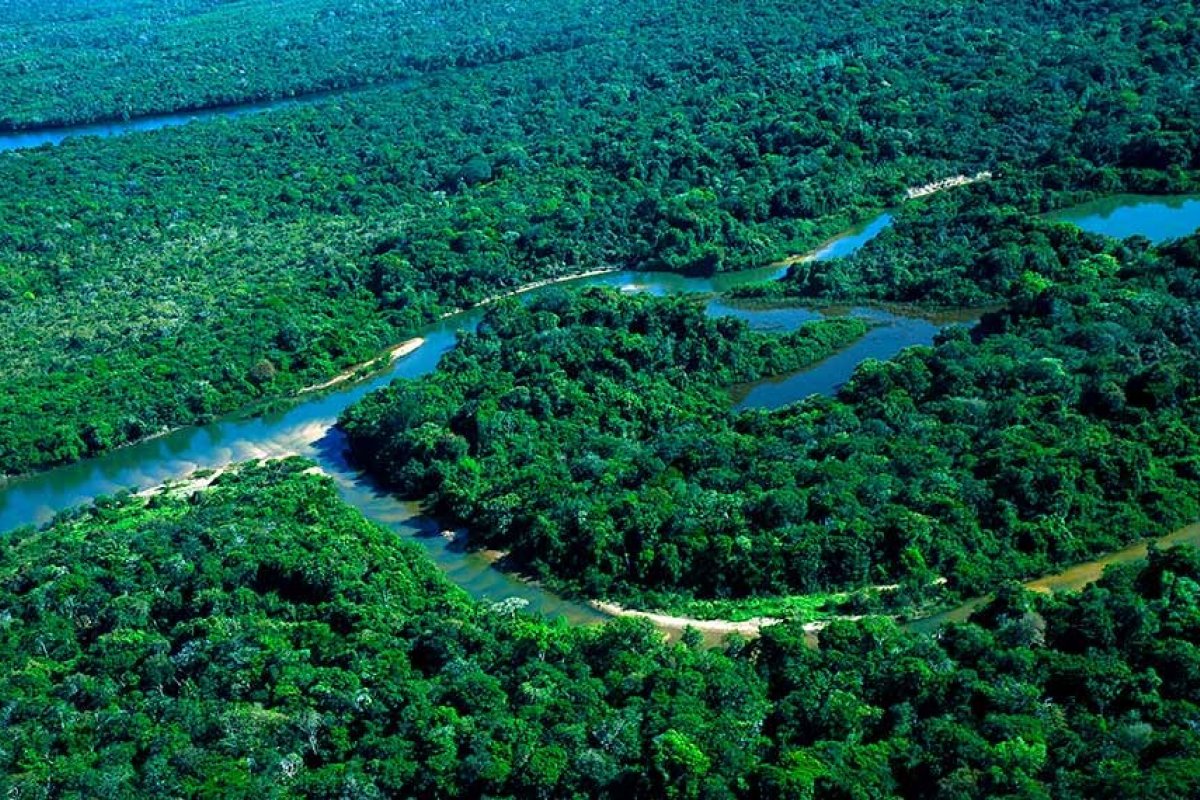Projeto no Senado transforma em lei resoluções de proteção a mangues e restingas