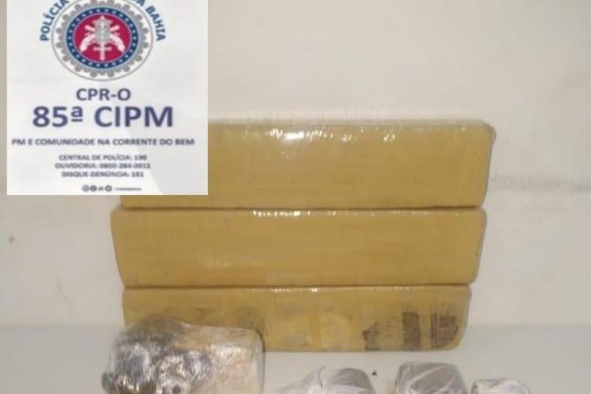 Tabletes de maconha são encontrados enterrados em chácara no oeste da Bahia