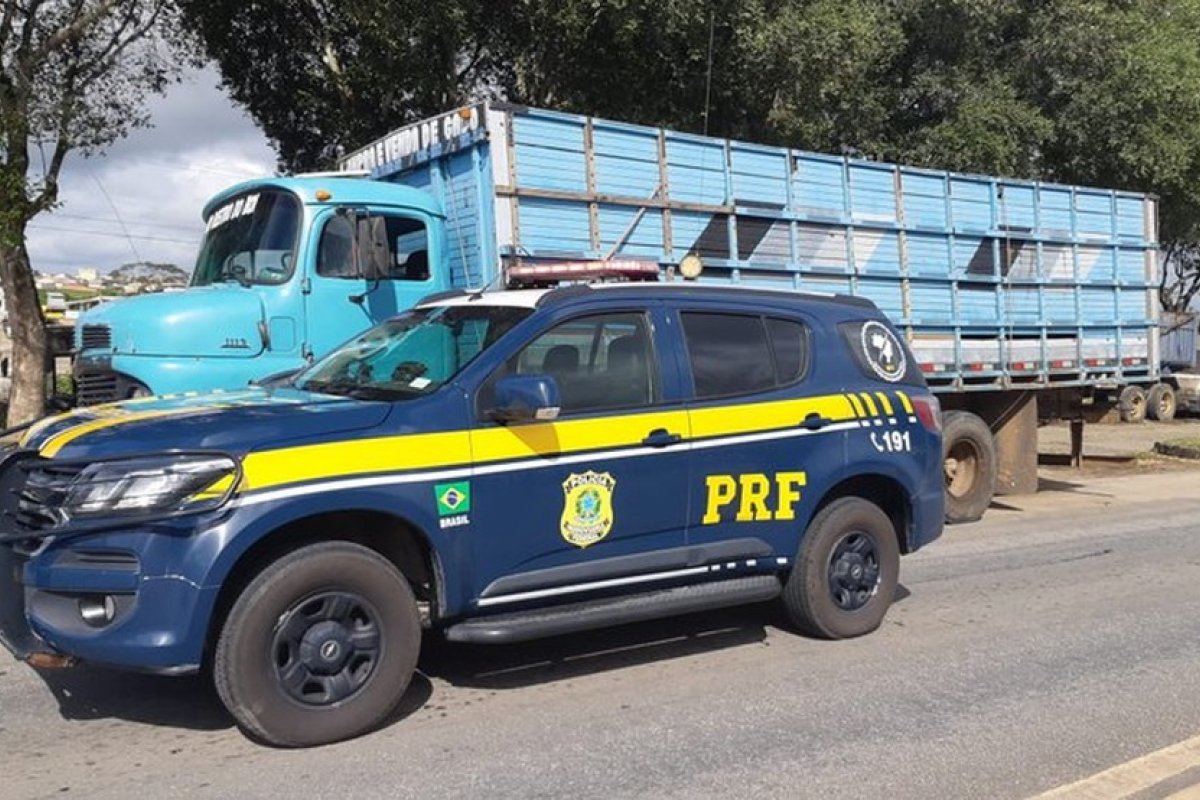 Homens são presos após roubo de gado no sul da Bahia