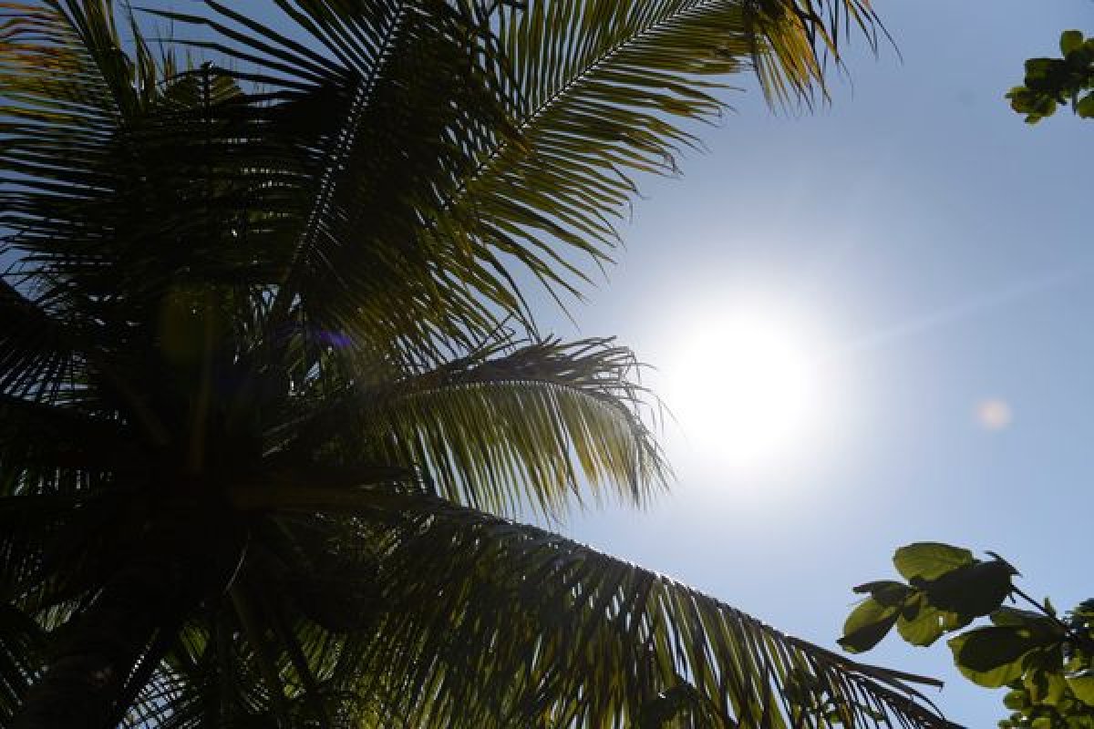 Órgão europeu diz que novembro de 2020 foi o mês mais quente da história em todo o mundo