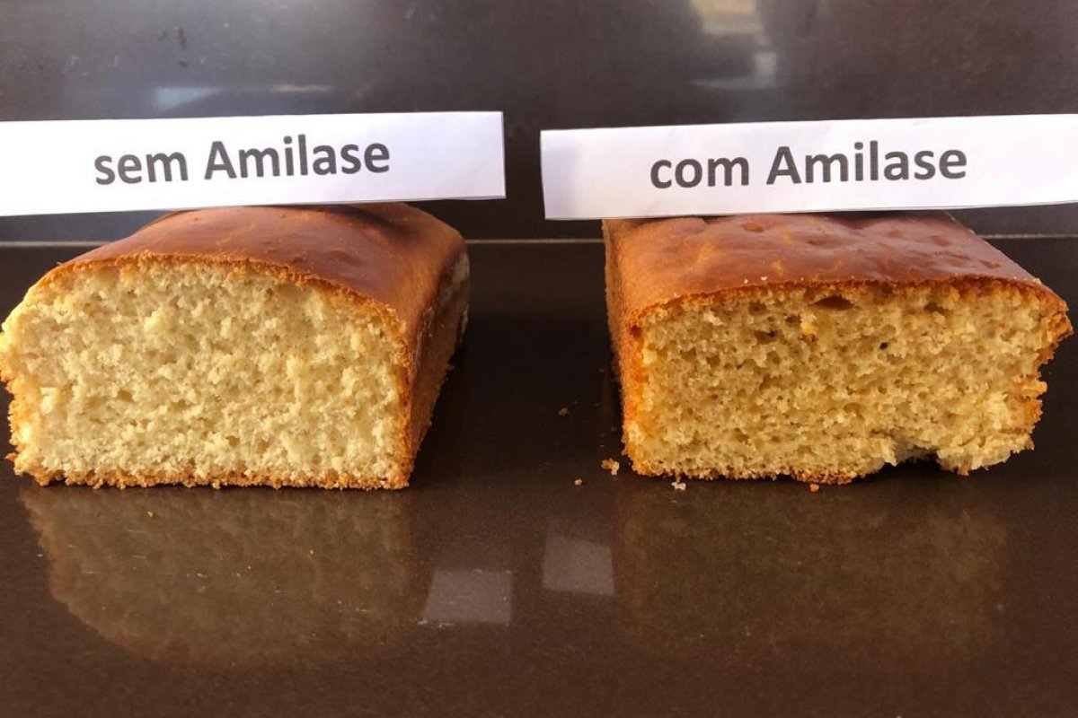 Novo tipo de panetone é desenvolvido por pesquisadora baiana