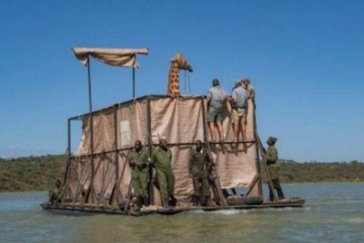 Jangada é construída para salvar girafas de inundação no Quênia