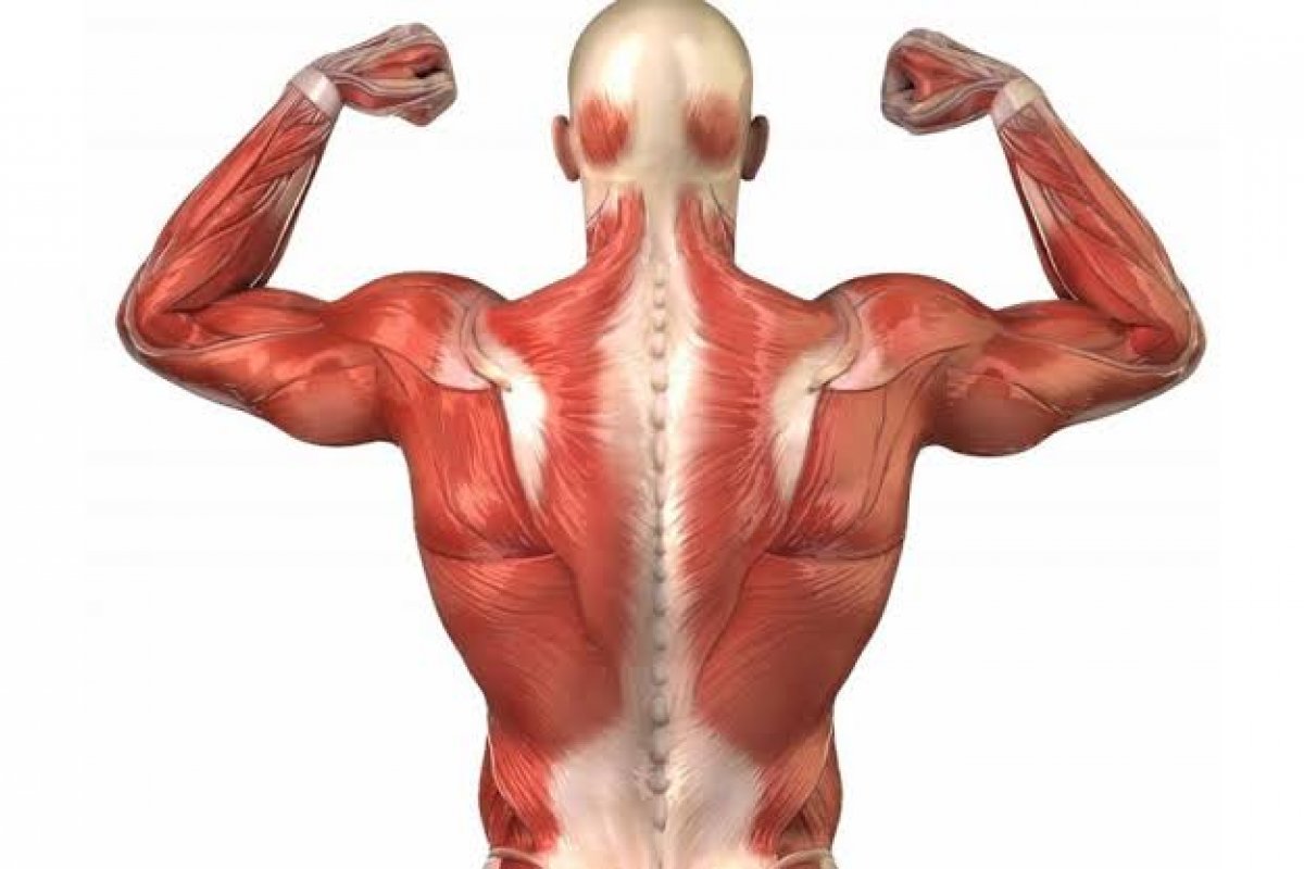 Quarentena pode ter agravado sarcopenia em idosos, alerta estudo