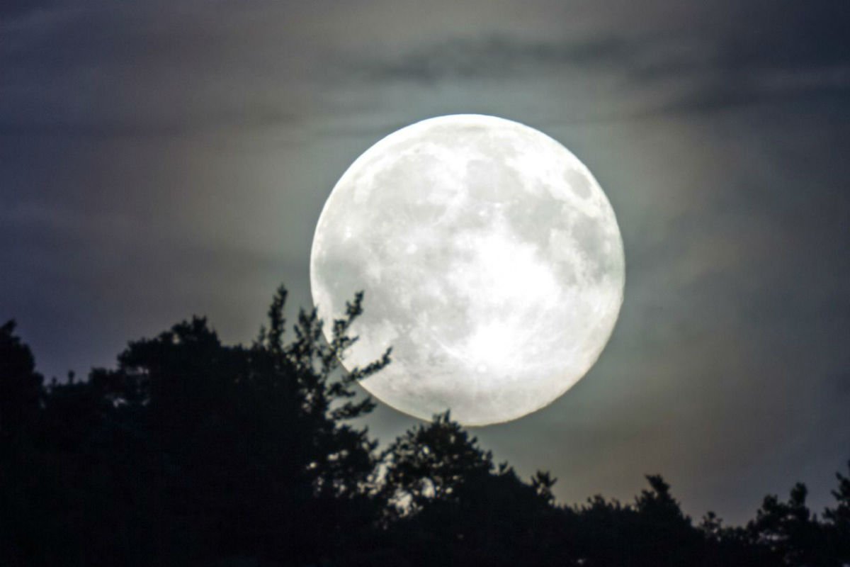 Nasa anuncia as 9 astronautas candidatas a serem a primeira mulher a ir para a Lua