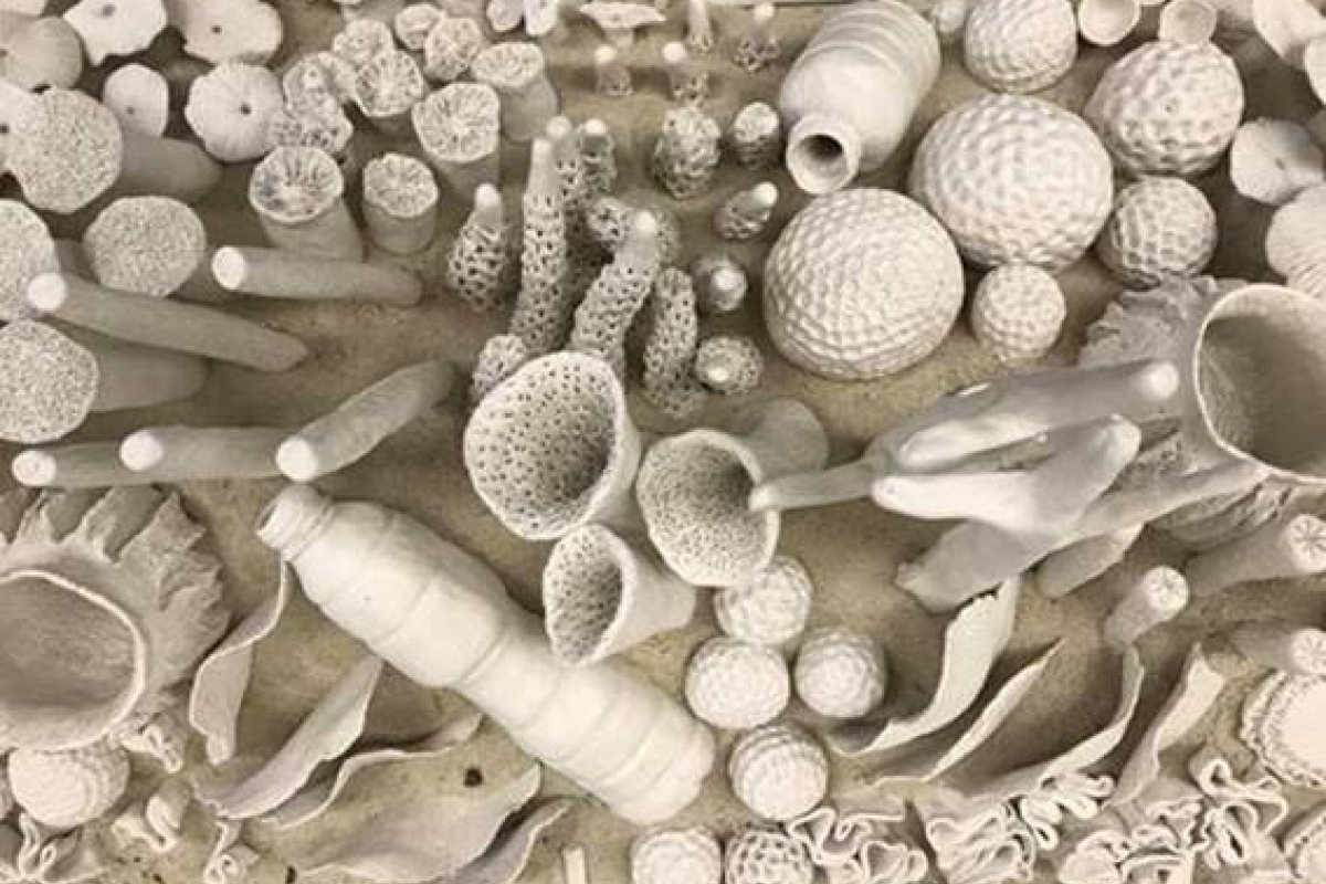 Parque Ibirapuera ganha obra que alerta para a importância da preservação dos recifes de corais