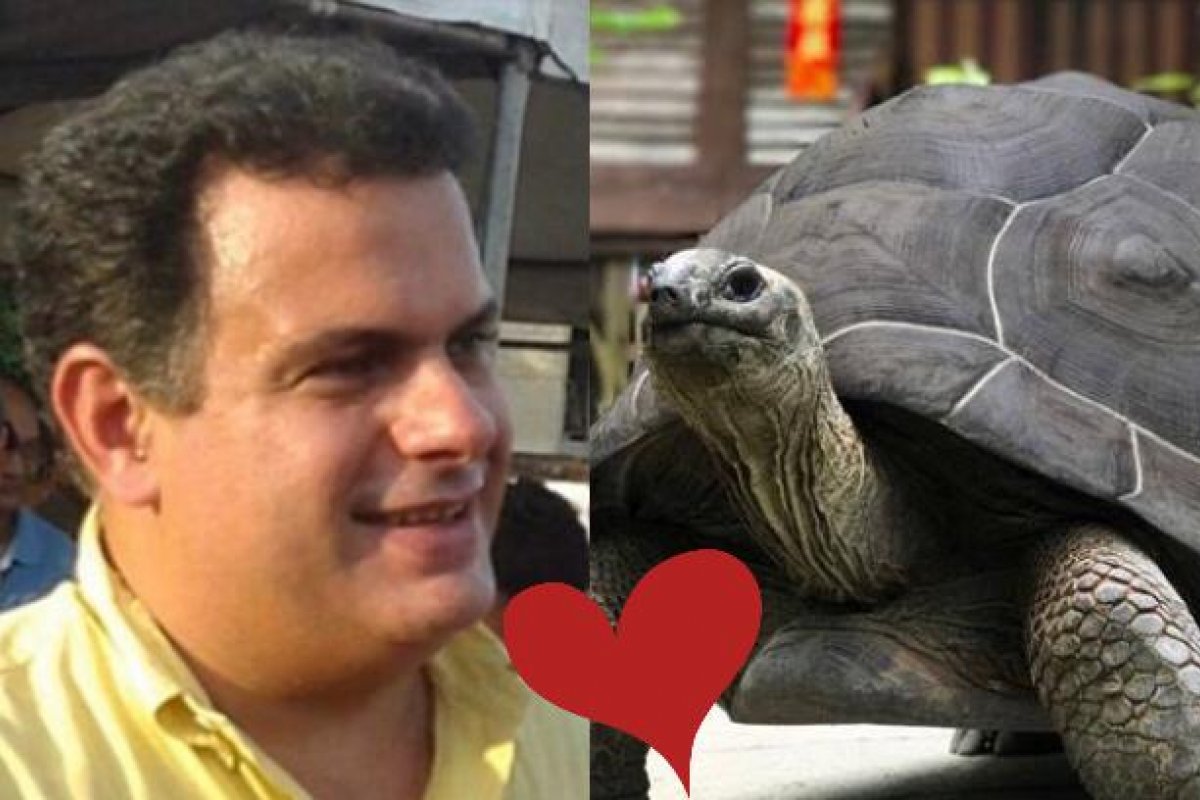 O "jabuti" do Bacelar