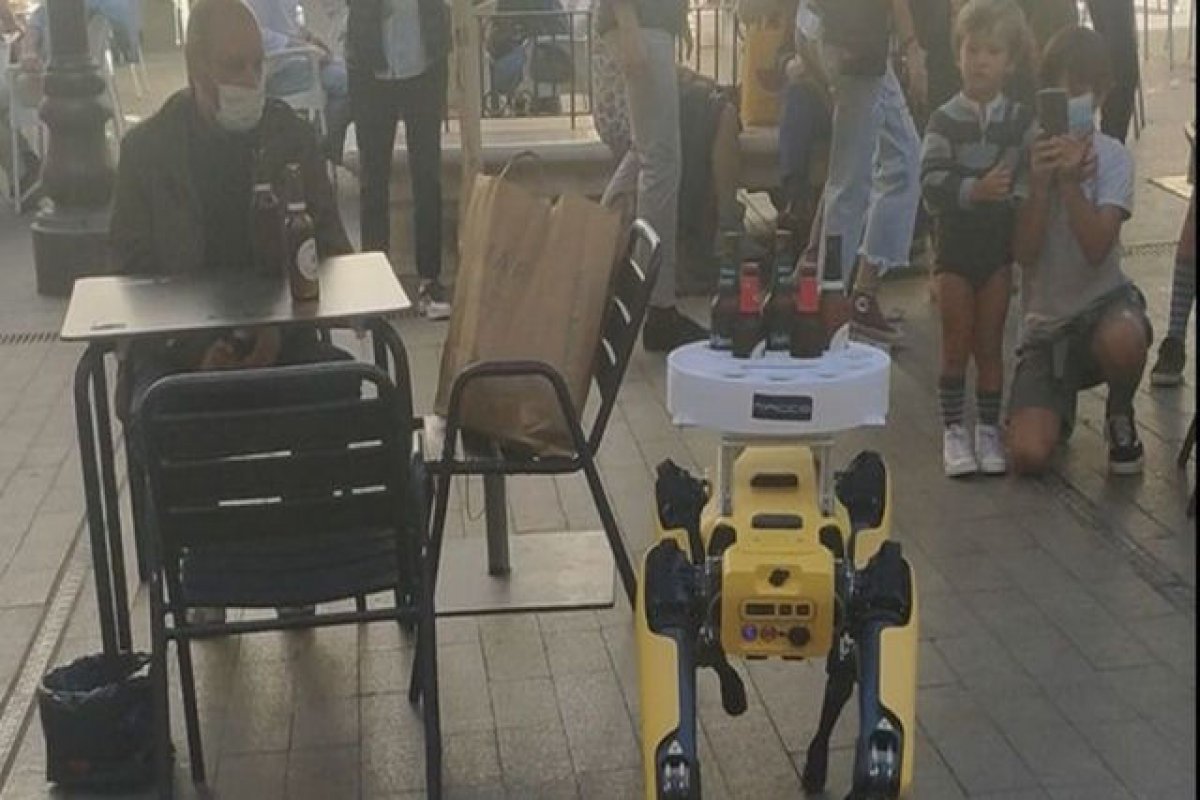 Vídeo: Robocão desenvolvido para atuar como garçom faz sucesso na Espanha