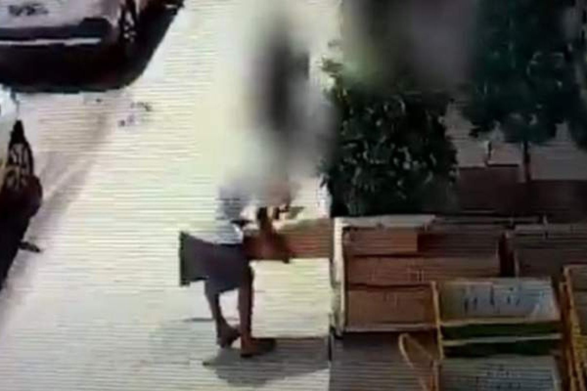 Dois adultos e um jovem são flagrados ao furtarem árvore de Natal em loja no DF