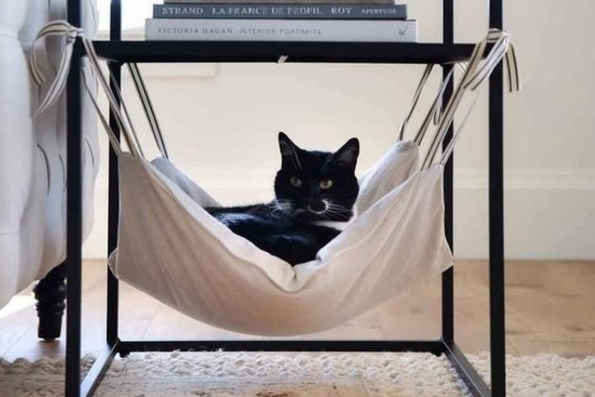 Rede para gatos traz charme e diversão na decoração
