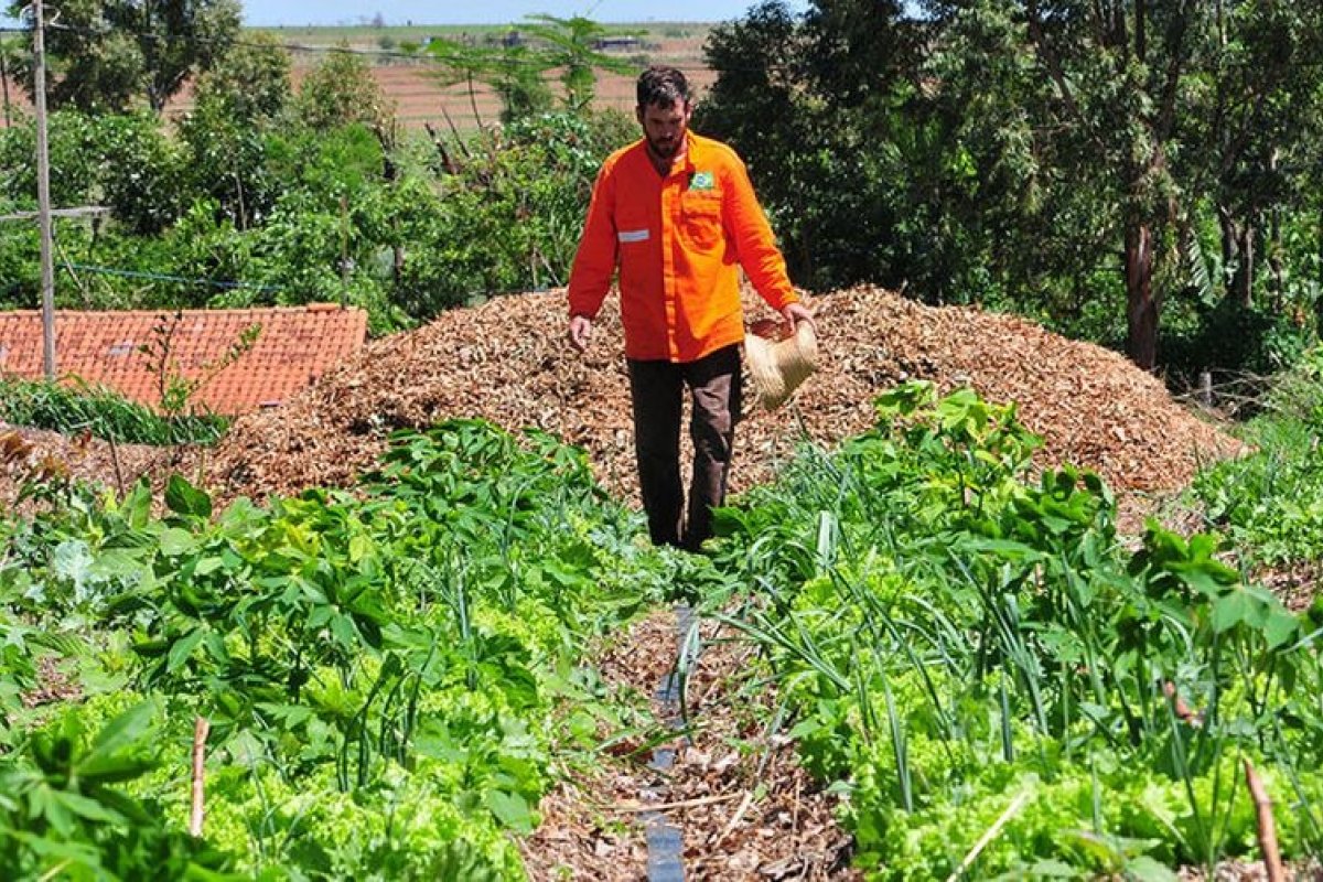 Políticas públicas a serviços ambientais