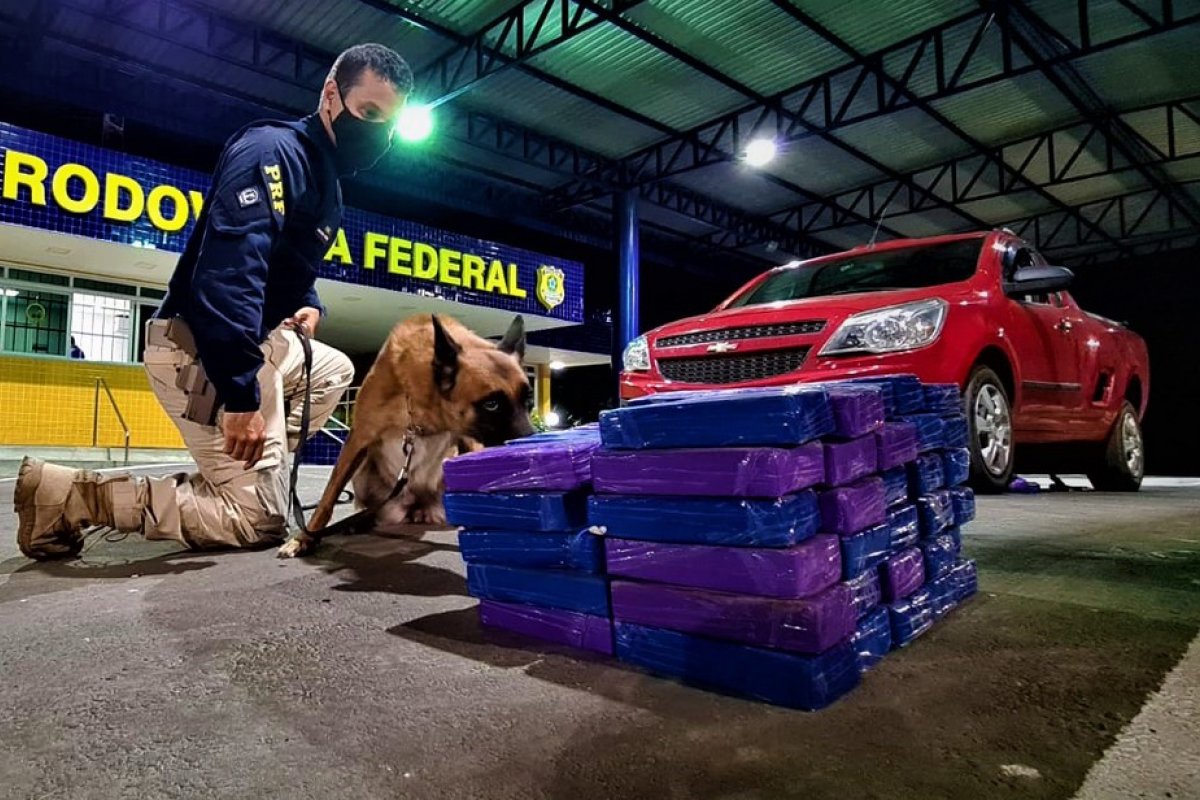 Casal é preso transportando quase 62 Kg de cocaína escondidos em fundo falso de caminhonete em Vitória da Conquista