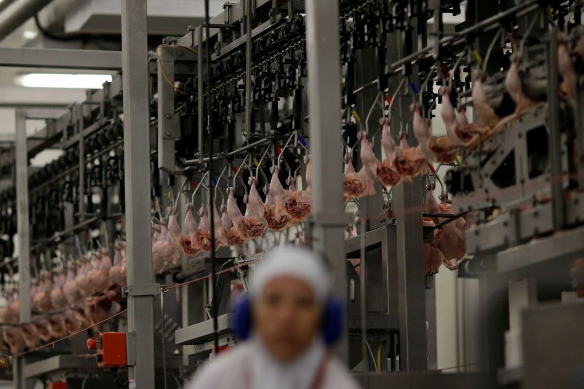 Brasil pretende aumentar exportação da carne bovina em 6% para 2021