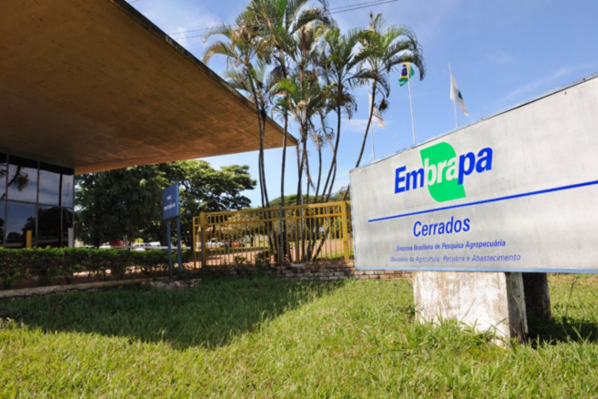 Brasil renova parceria de cooperação científica na agricultura com Estados Unidos