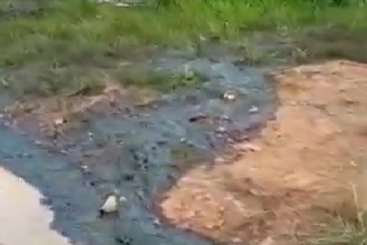 Vídeos: Duto da Petrobrás em Massuí vaza e provoca grande acidente ecológico