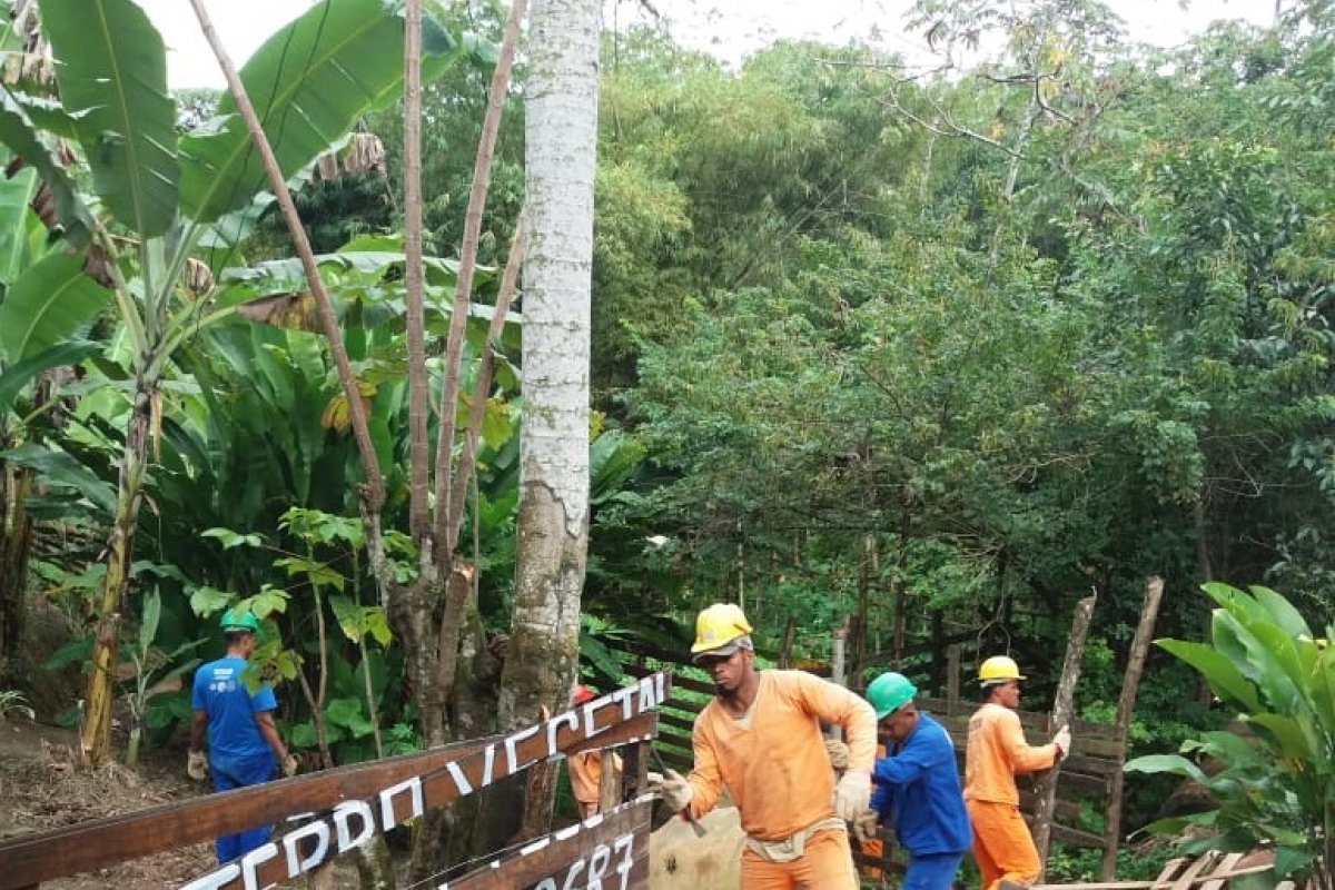 Demarcações de terras irregulares e barracos desabitados são removidos durante operação da Sedur em área da Pedra de Xangô