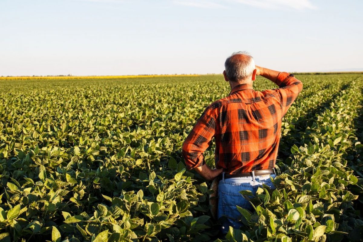Gestão e desenvolvimento rural