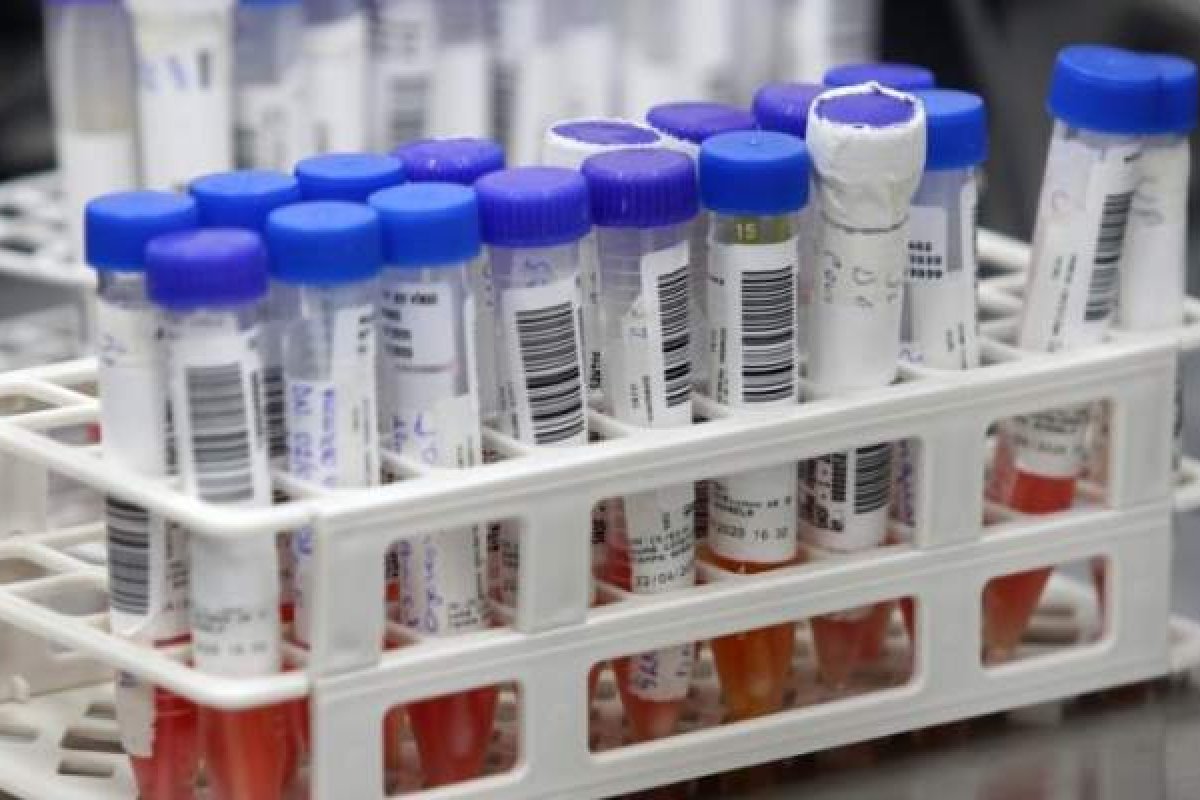 Reino Unido anuncia descoberta de mais uma mutação da covid-19 com maior risco de contágio