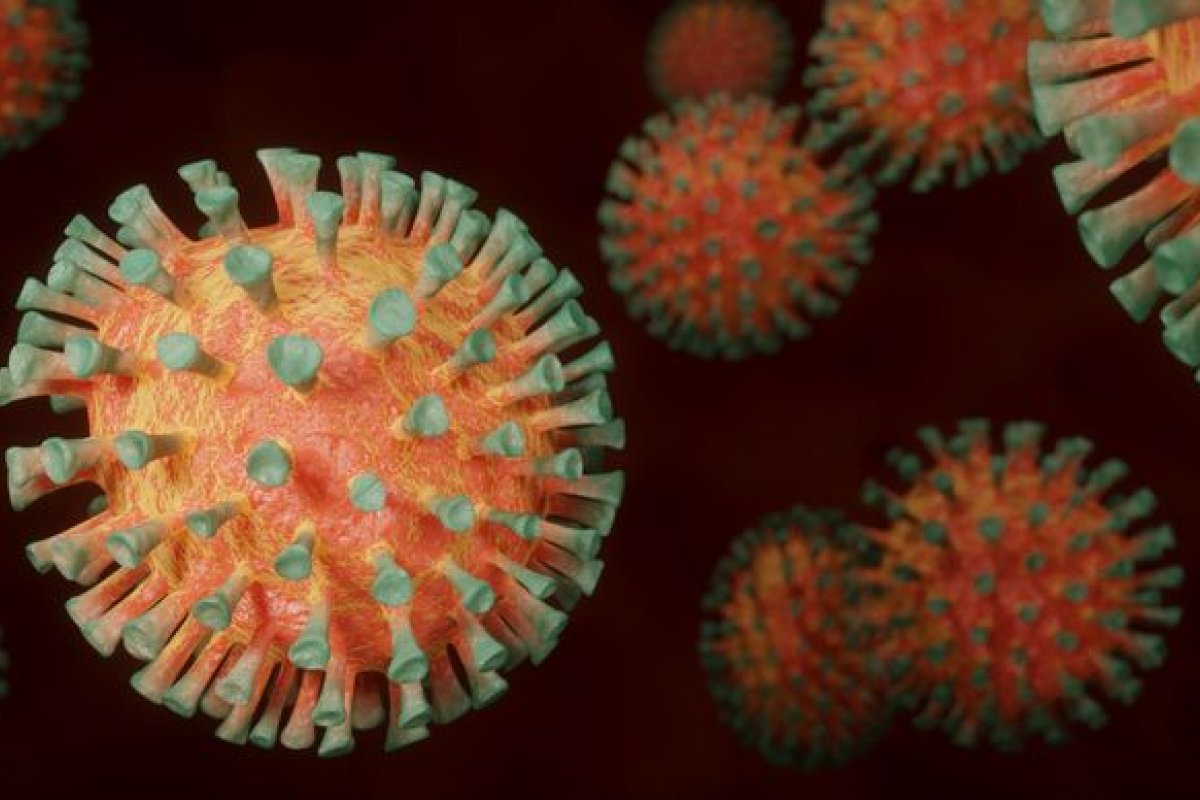 Índia confirma primeiros casos da Covid-19 com mutação descoberta no Reino Unido 