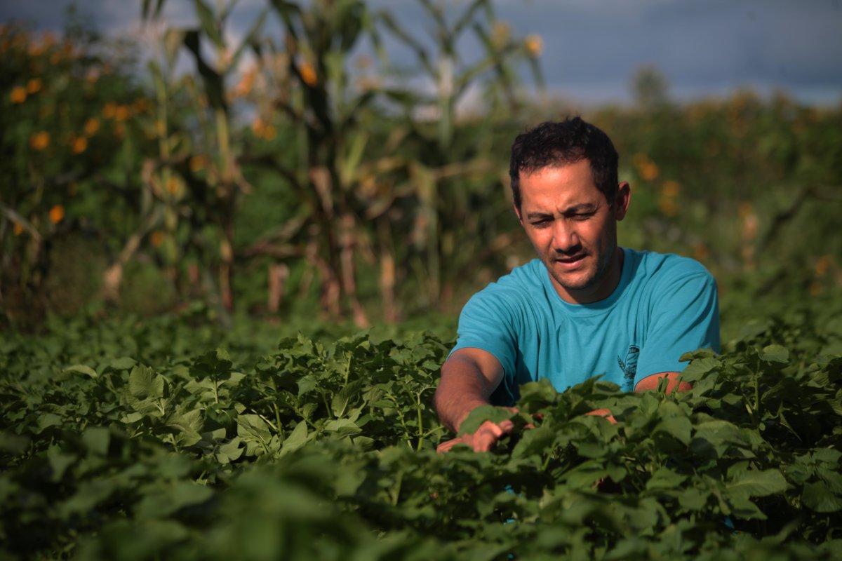 Declaração do Imposto Rural deve ser entregue até 30 de novembro