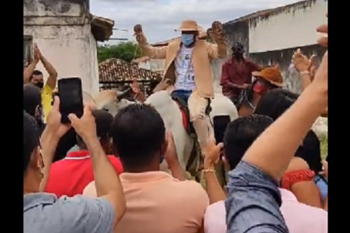 Vídeo: montado em boi, prefeito de Jacobina, na Bahia, vai à posse vestido de vaqueiro
