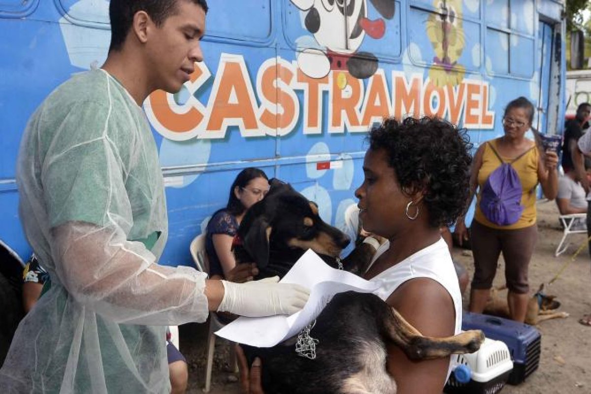 Prefeitura realiza agendamento para castração gratuita em Salvador