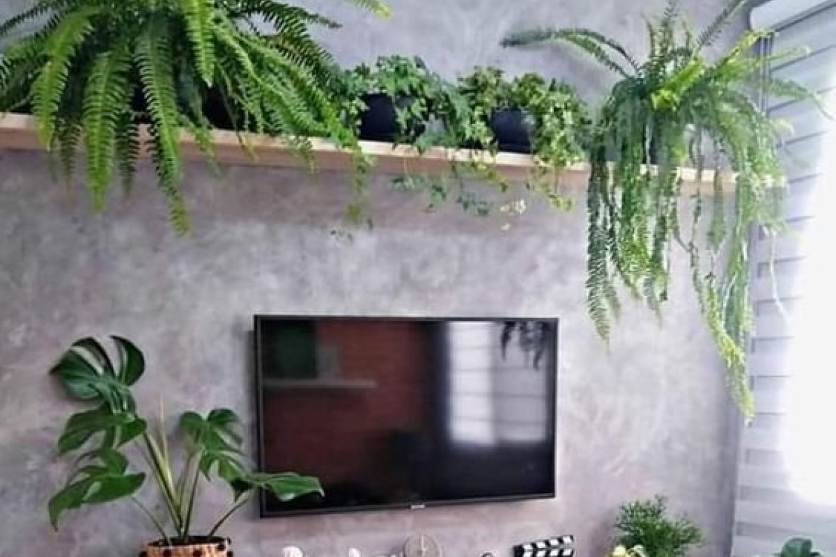 Plantas pendentes: Confira tipos e inspirações na decor