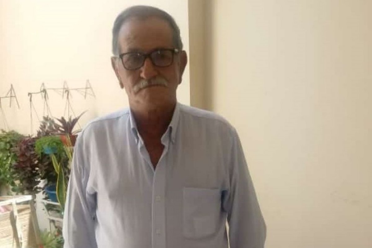 Idoso é atacado por abelhas e morre em Irecê, no norte da Bahia