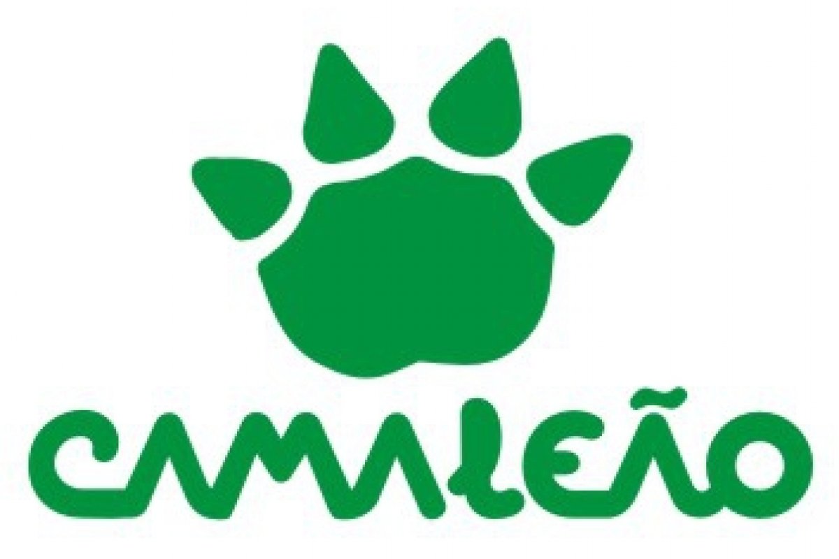 Bloco Camaleão dará abadá exclusivo para foliões