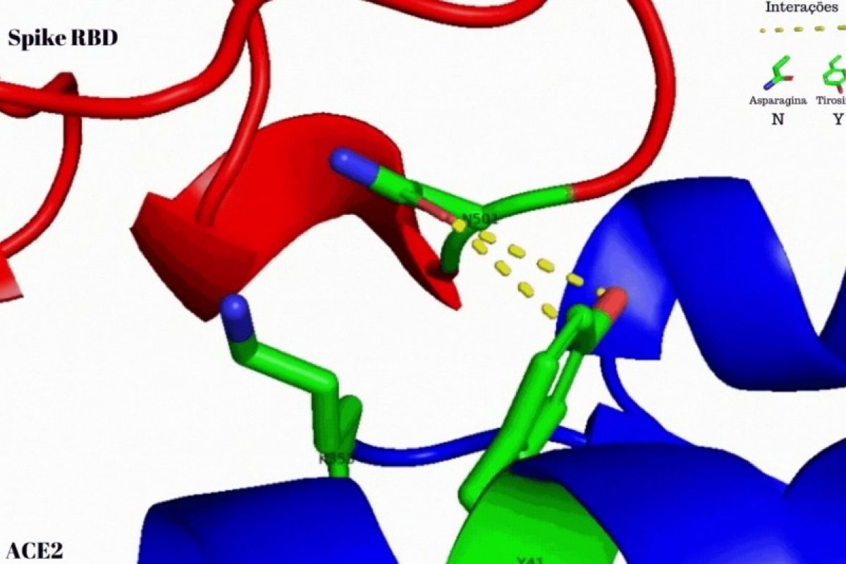 Novo Coronavírus: pesquisadores brasileiros desvendam fator de contágio da nova cepa