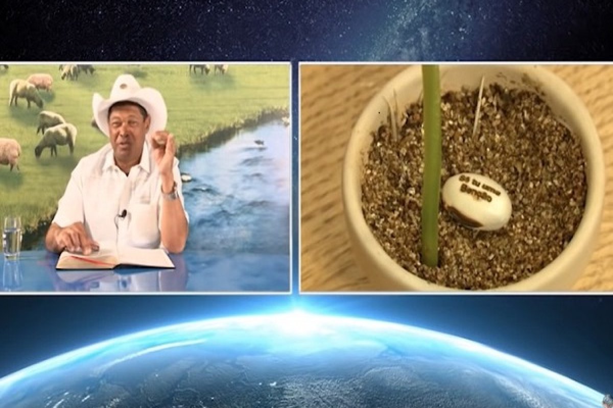 Justiça determina que Ministério da Saúde alerte sobre feijões que prometem cura da Covid-19