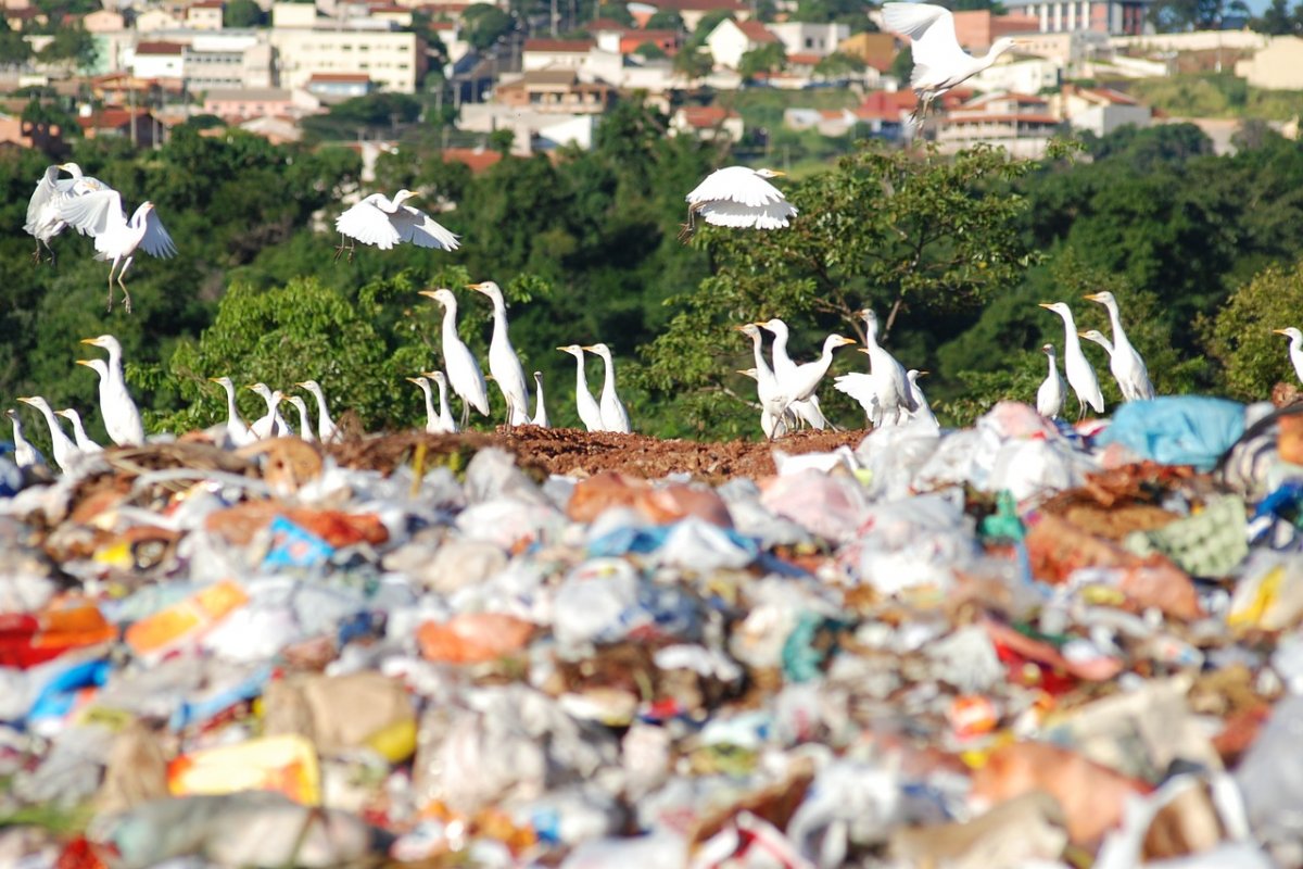 Toneladas de lixo