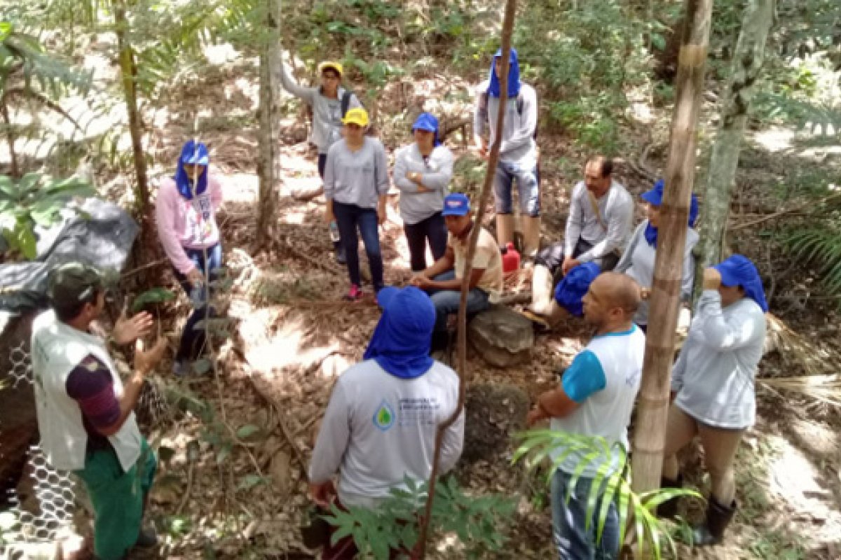 Projeto ajuda recuperação de nascentes na região Oeste da Bahia