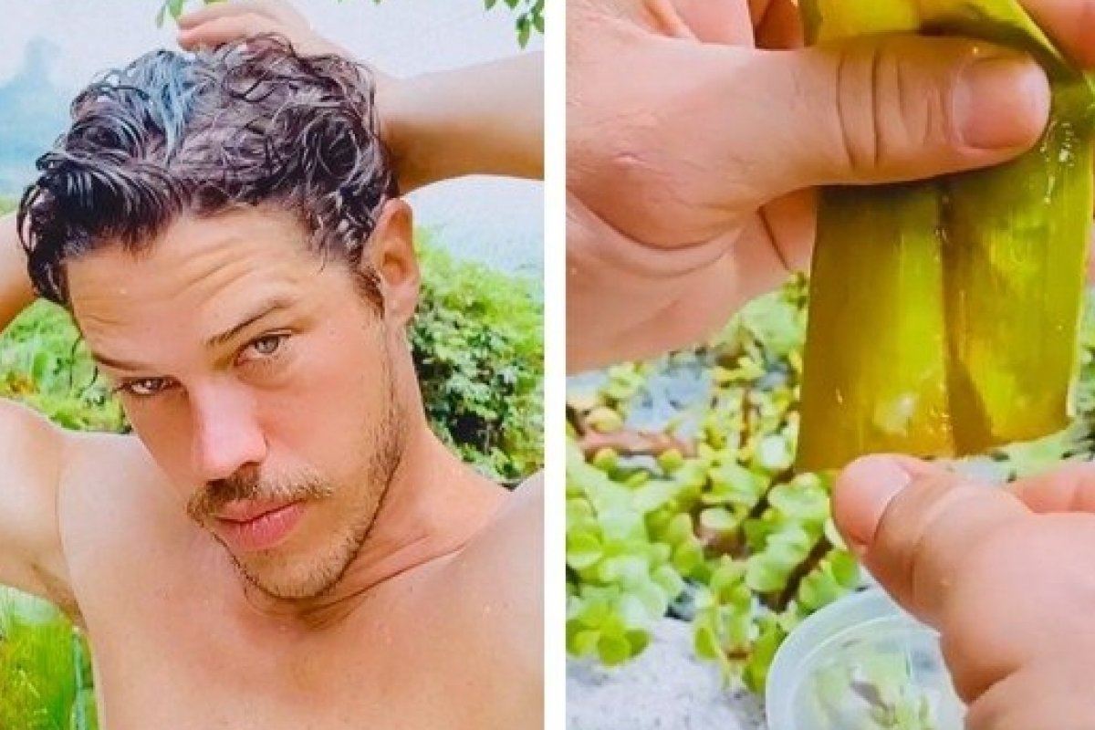 Veja vídeo: José Loreto ensina a hidratar cabelos com babosa