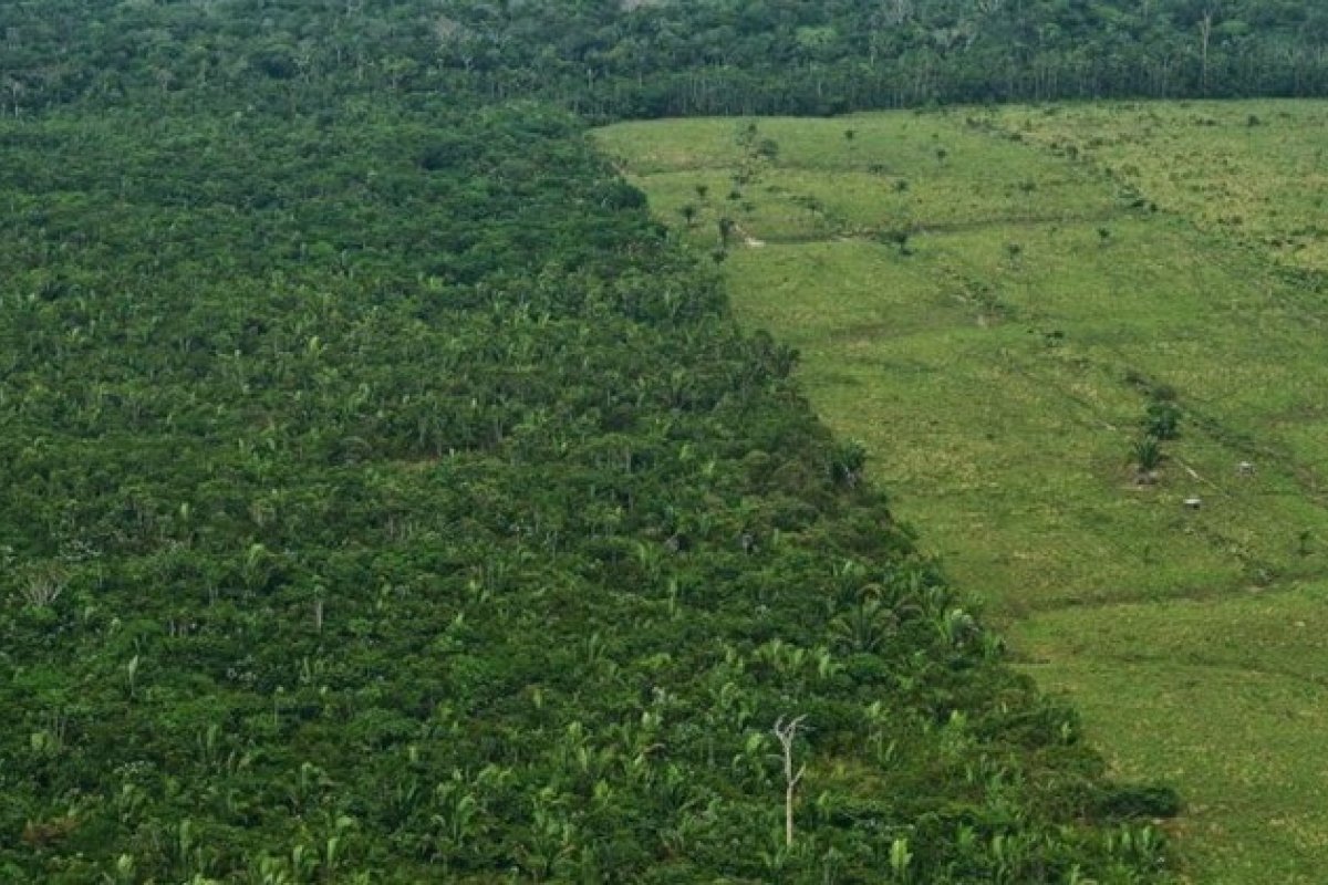 Cientistas europeus desenvolvem enzima capaz de retirar CO2 da atmosfera