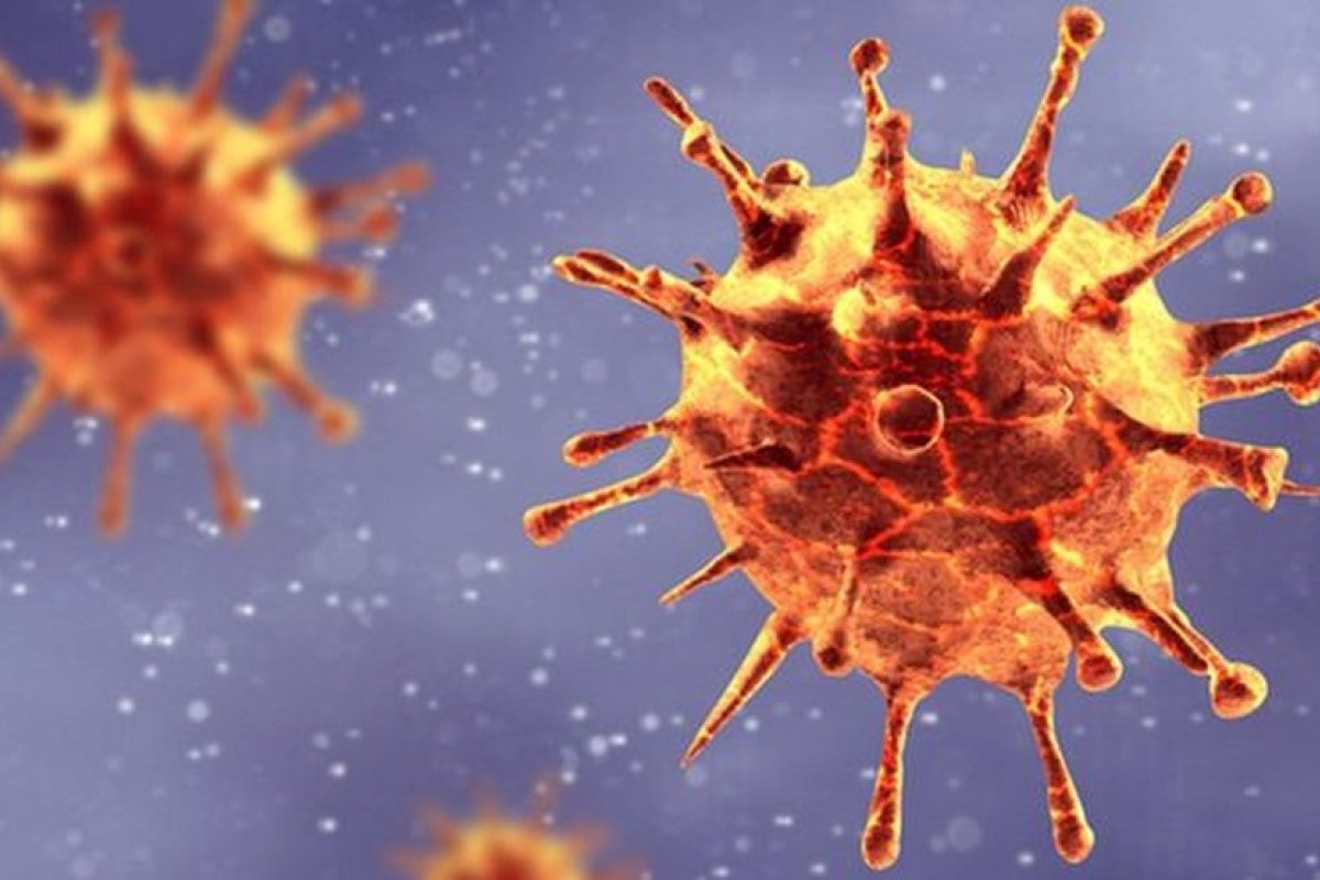 Consórcio Nordeste pede criação de Observatório para monitorar mutação do coronavírus