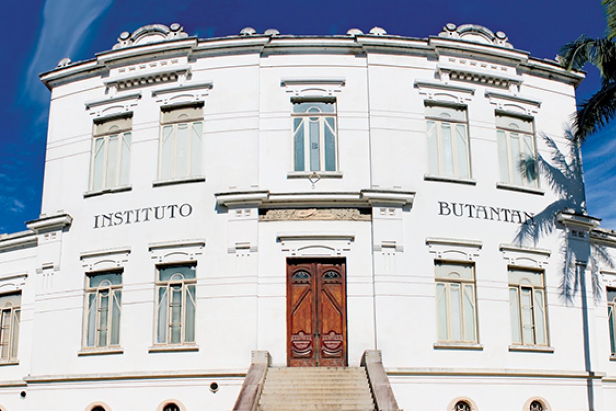 Butantan deve apresentar dados completos sobre eficácia da CoronaVac nesta terça-feira (12)